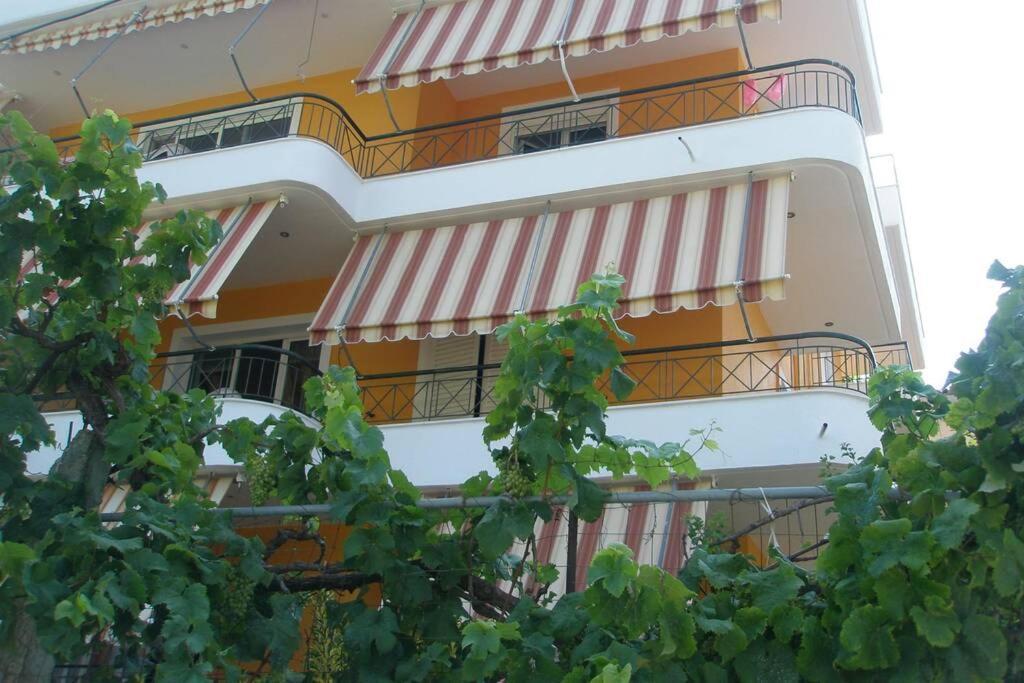Lina'S Apartment ฮีมาเรอ ภายนอก รูปภาพ